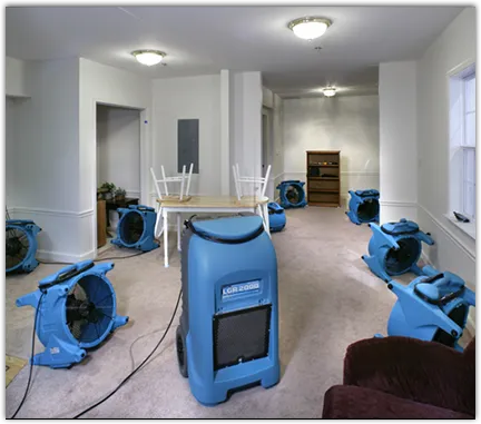 Contents Cleaning & Restoration in Savoy, IL