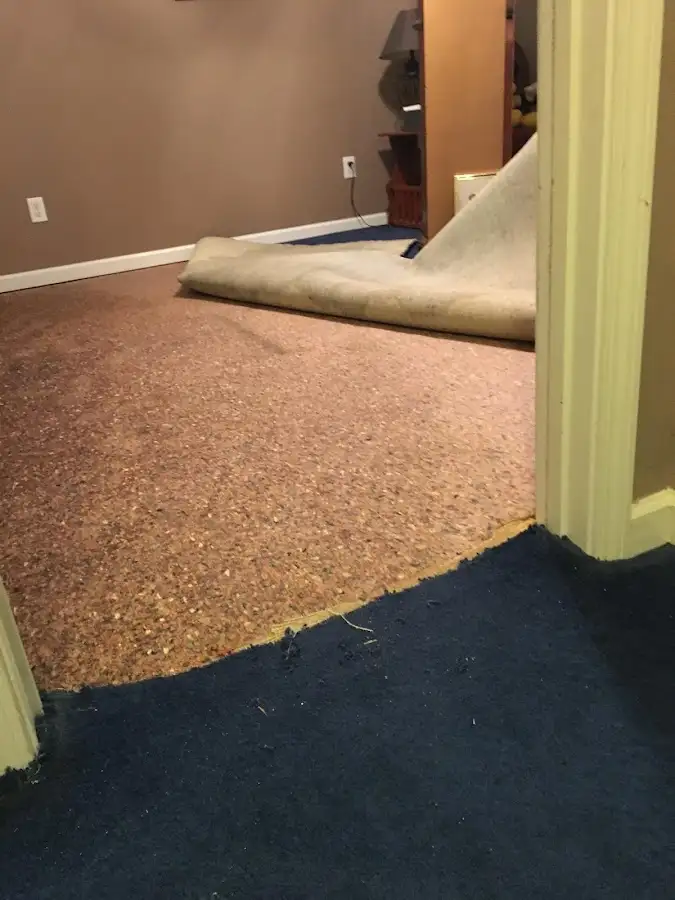 Carpet pad removal revealing water damage during Drying & Dehumidification in Savoy