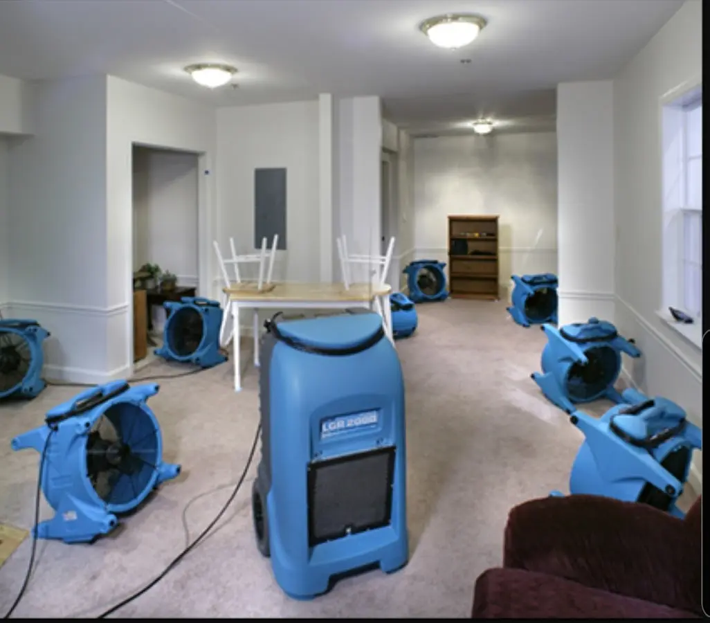Air movers and dehumidifier setup for Water Extraction & Removal in Savoy