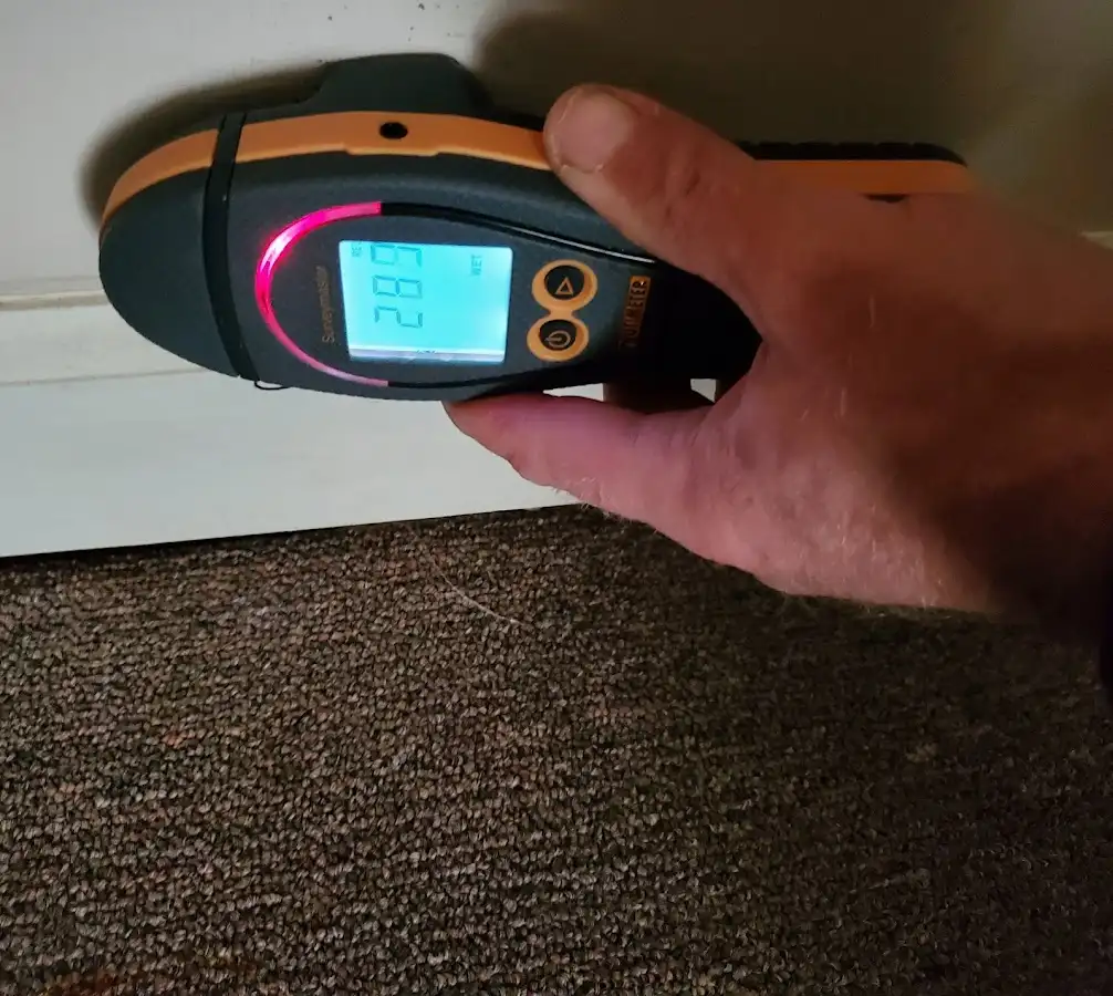 Moisture detection at baseboard during Sewage Cleanup & Sanitation in Savoy